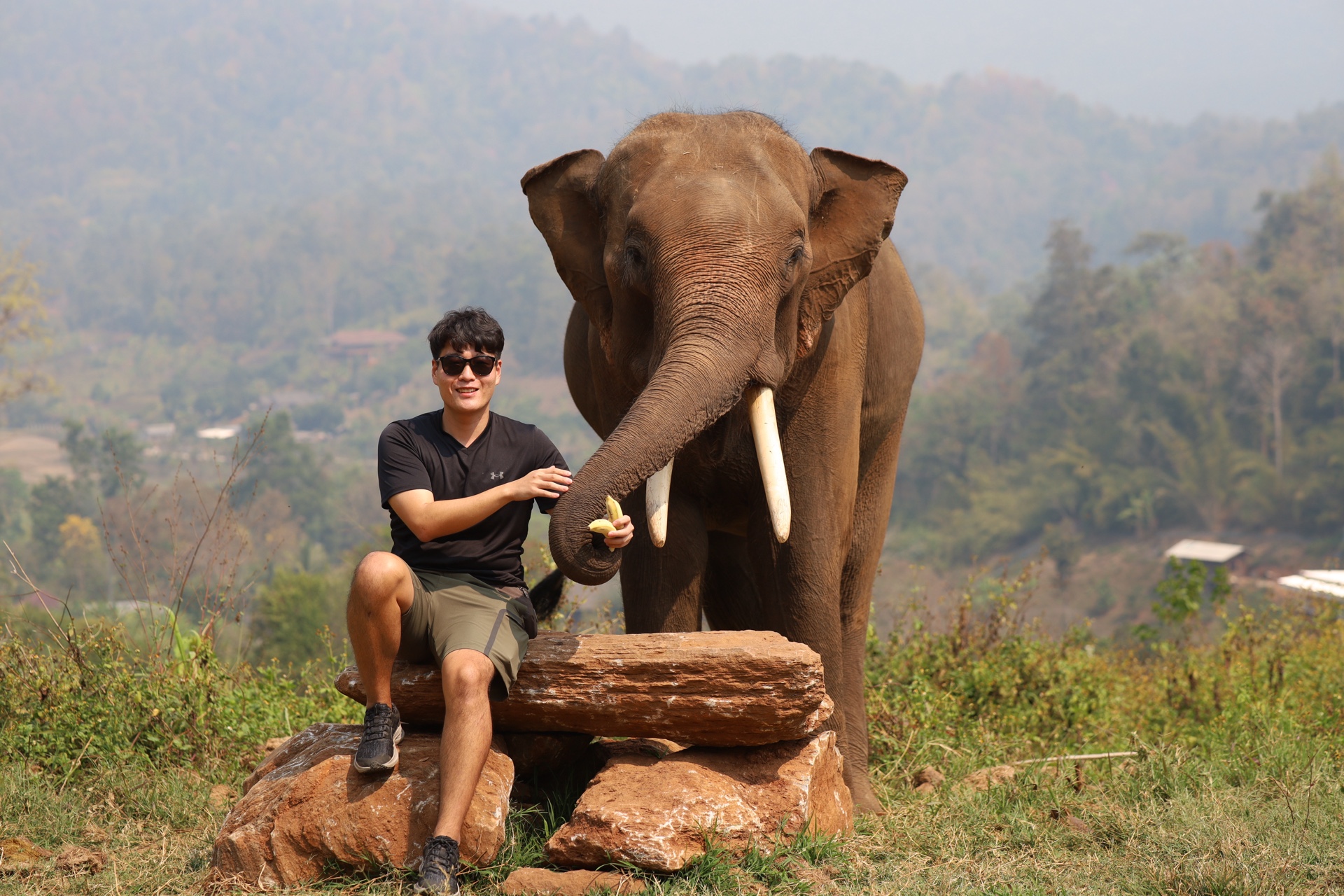 Jason Lee feeding an elephant in the hills near Chiang Mai, Thailand